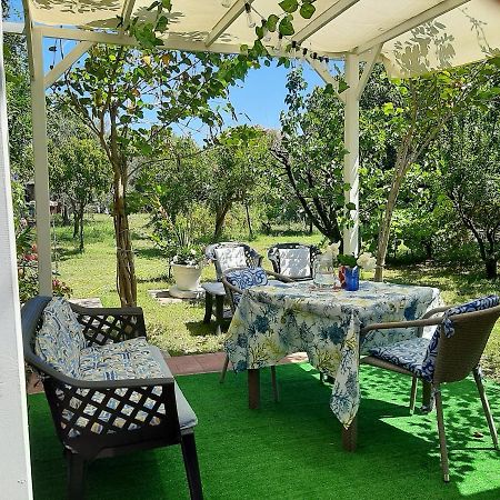 Tom E Jerry Bed & Breakfast Domus De Maria Exterior foto